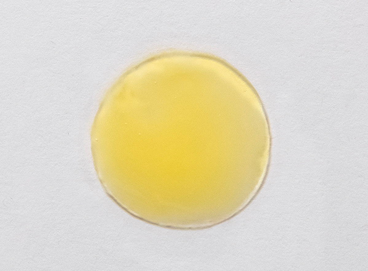 Skin Script RX Vitamin C/Green Tea Serum